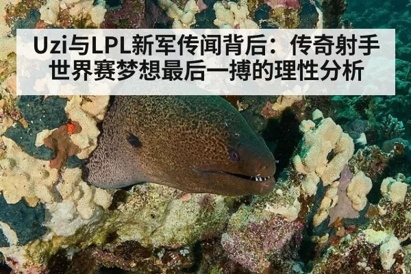 Uzi与LPL新军传闻背后：传奇射手世界赛梦想最后一搏的理性分析