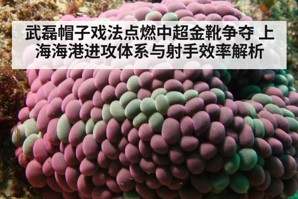 武磊帽子戏法点燃中超金靴争夺 上海海港进攻体系与射手效率解析